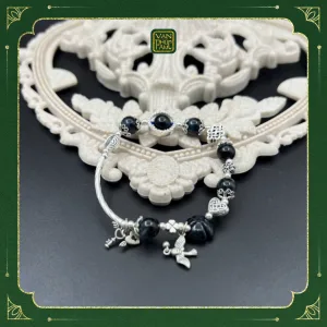 Vòng Mix Charm Bạc Và Đá Mắt Hổ Xanh Đen1