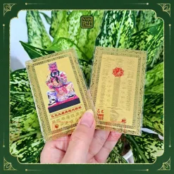 the-kim-bai-thai-tue-nam-at-ty-2025-cho-cac-tuoi-dan-than-ty-hoi