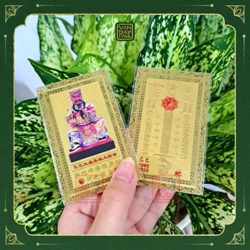 the-kim-bai-thai-tue-nam-at-ty-2025-cho-cac-tuoi-dan-than-ty-hoi