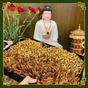 Vòng Đá Hổ Phách